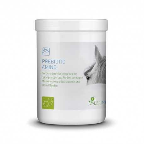 Prebiotic AMINO Valetumed pour le devellopement musculaire du cheval