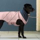 Manteau d'hiver Wintermantel Munich pour chien JEGGO FLEUR DE MAGNOLIA